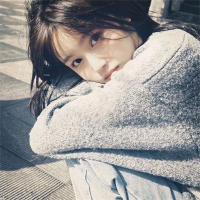 飙速宅男第五季